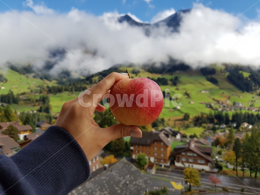 스위스,여행,유럽,자연,풍경,해외,산,휴식,힐링,외국,세계,swiss,switzerland,travel,trip,mountain,landscape,europe,nature,healing,과일,사과,음식,사람,인물,인간,human,person,신체일부,몸,body,음식,식재료,요리,food,cook,meal,dishes,food reserves,과일,열매,fruit