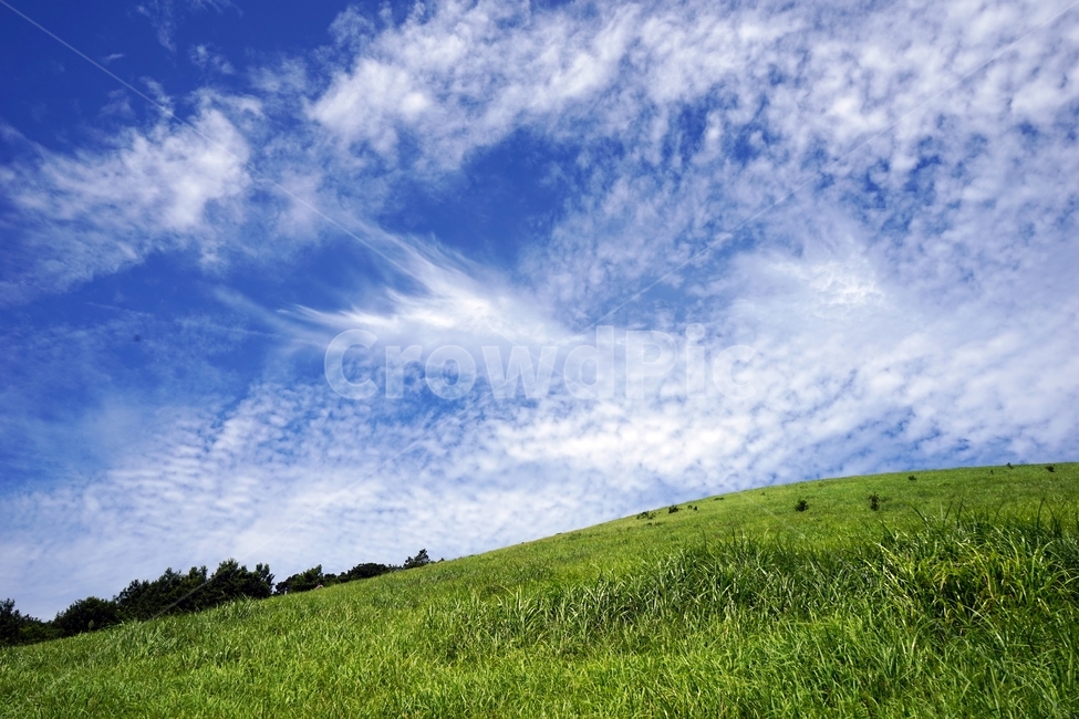 하늘,바탕화면,잔디,목초지,field,들,자연,식물,nature,구름,언덕,자연,풍경,nature,landscape,outdoors,옥외,grassland,rural,농촌,farm,농장
