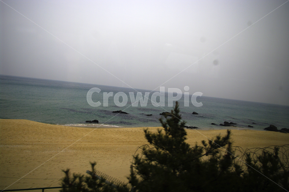 풍경,자연,나무,하늘,바다,모래,plant,nature,tree