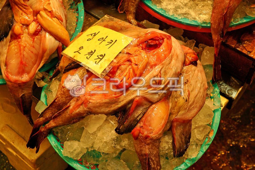 devilfish,anglerfish,crotch,saltwater fish,fish shop,fish,Oh my,monkfish,raw monkfish