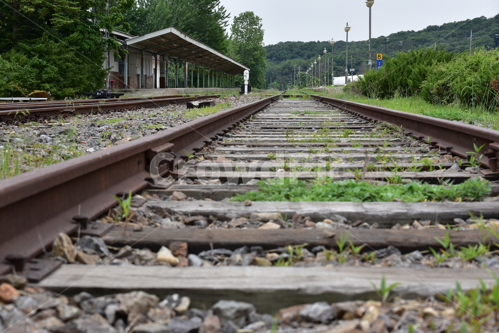 일영역,폐역,교외선,열차,신호기,플랫폼,옛역,transportation,traintrack,기찻길,railway,철도,레일,rail,교통,교통,교통수단,traffic,transportation