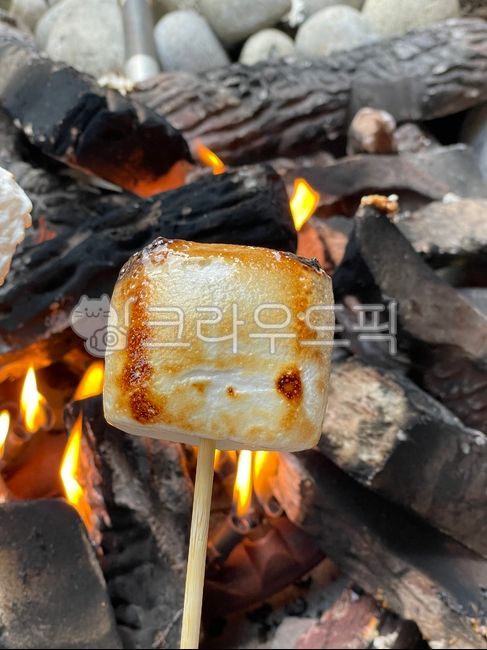 fire,fire hole,marshmallow,to be dumbfounded,Camping