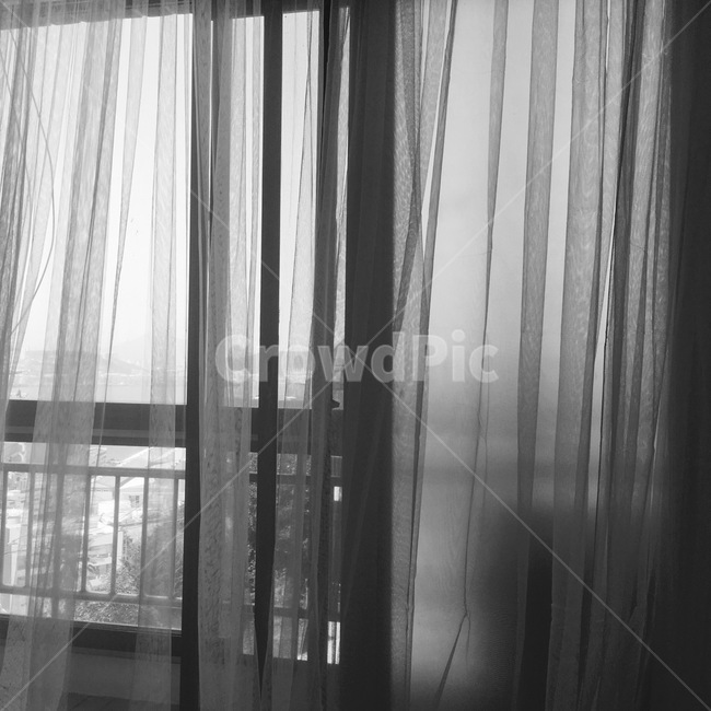 커튼,얇은커튼,실내,창문,실루엣,낮,cotton,indoor