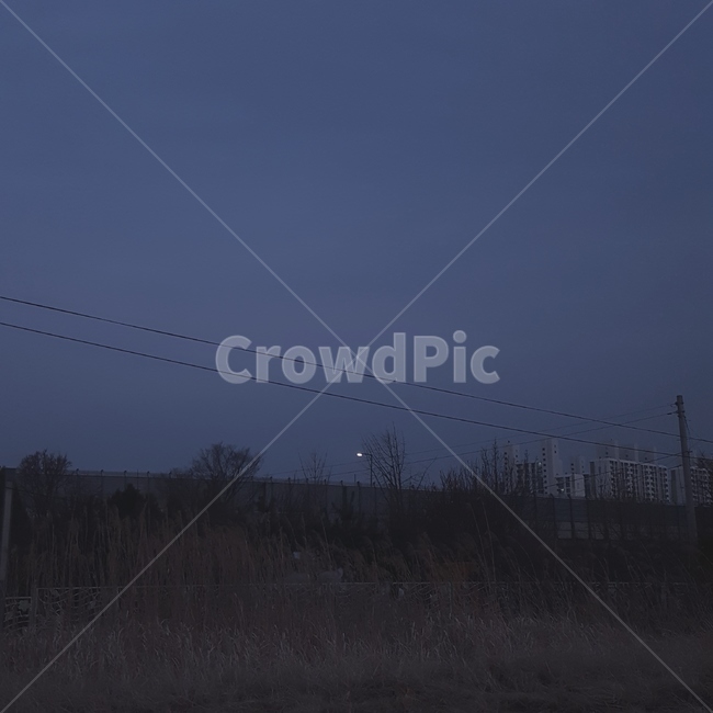 갈대,노을,밤,새벽,하늘,풍경,야경,밤,풍경,nightscape,night,landscape,도시,city,cable,케이블