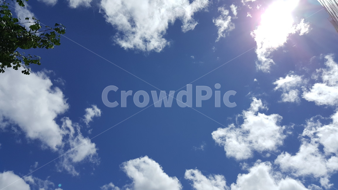 하늘,구름,자연,태양,풍경,경치,여름,여름하늘,자연,풍경,nature,landscape,outdoors,옥외,sky,azure sky,푸른 하늘