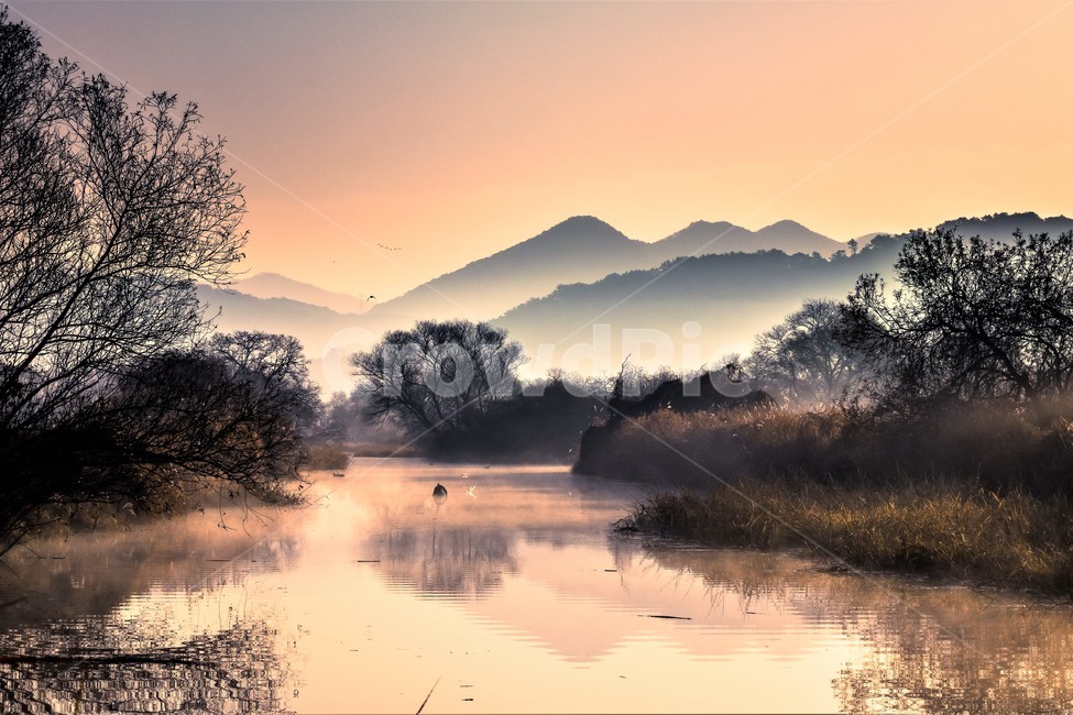 화포천,생태습지,습지,아침,자연,한국자연풍경,한국자연경관,landscape,nature,자연,풍경,nature,landscape,한국자연풍경,한국자연경관,korea nature landscape,outdoors,옥외