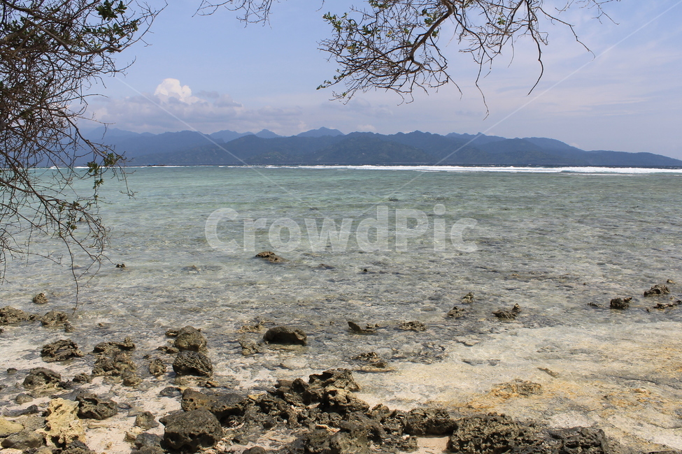 인도네시아,길리,해변,나무,나무해변,indonesia,gili,beach,beachandtree,nature,sea,고즈넉