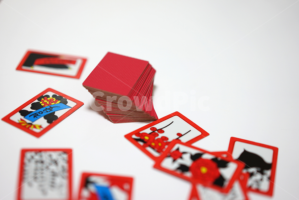 화투,고스톱,카드게임,게임,도박,하나후다,맞고,게임,오락,놀이,game,play