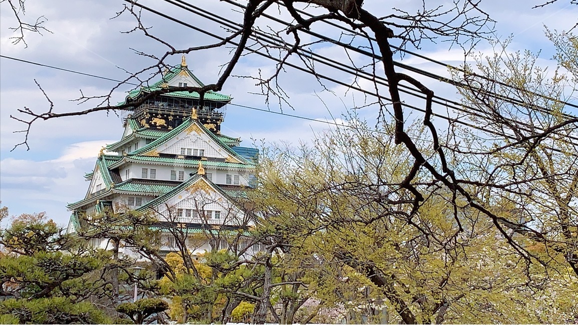 오사카성,오사카성벚꽃,오사카벚꽃,오사카성공원,오사카성곽,랜드마크,landmark,tourist attraction,해외,외국,세계,foreign,oversea,world,세계랜드마크,해외랜드마크,외국랜드마크,world landmark,world tourist attraction