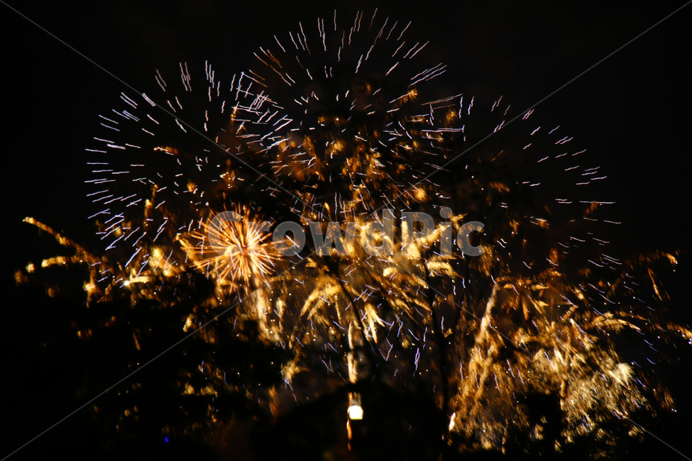 lighting,조명,축제,festival,불꽃,flame,outdoors,fireworks,fireworksdisplay,야경,밤,풍경,nightscape,night,landscape,축제,행사,festival,carnival,event,nature,자연,옥외