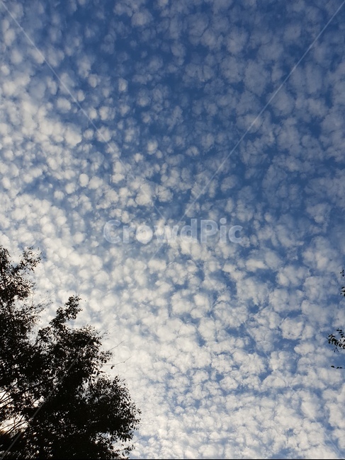하늘,구름,파란하늘,여름,여름하늘,맑은하늘,sky,summersky,clouds,sunnyday,bluesky
