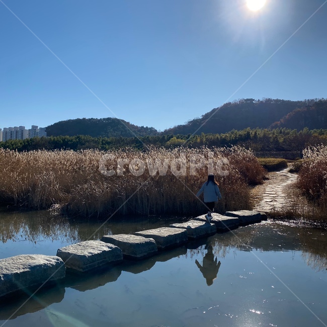돌다리,가을,자연,nature,water,물,강물,outdoors,land,편안함,고요,조용,sunlight,sun,길,평화