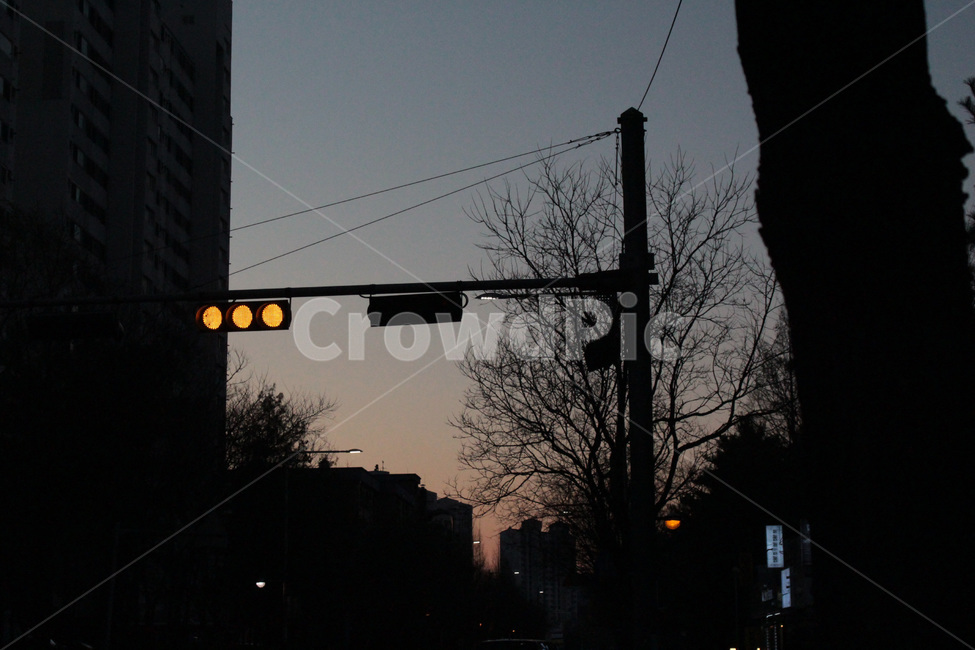 신호등,노을,나뭇가지,하늘,나무,실루엣,그림자,silhouette,shadow,교통,교통수단,traffic,transportation