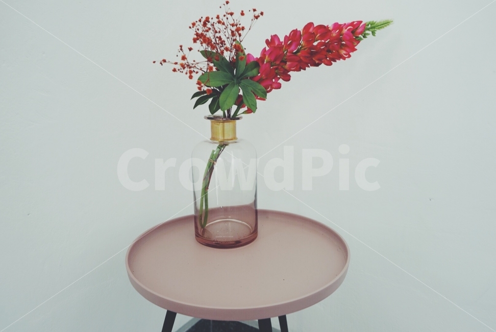 안개꽃,사진,감성사진,필름카메라,필름,식물,자연,plants,nature,꽃,flower,인테리어,실내디자인,interior design