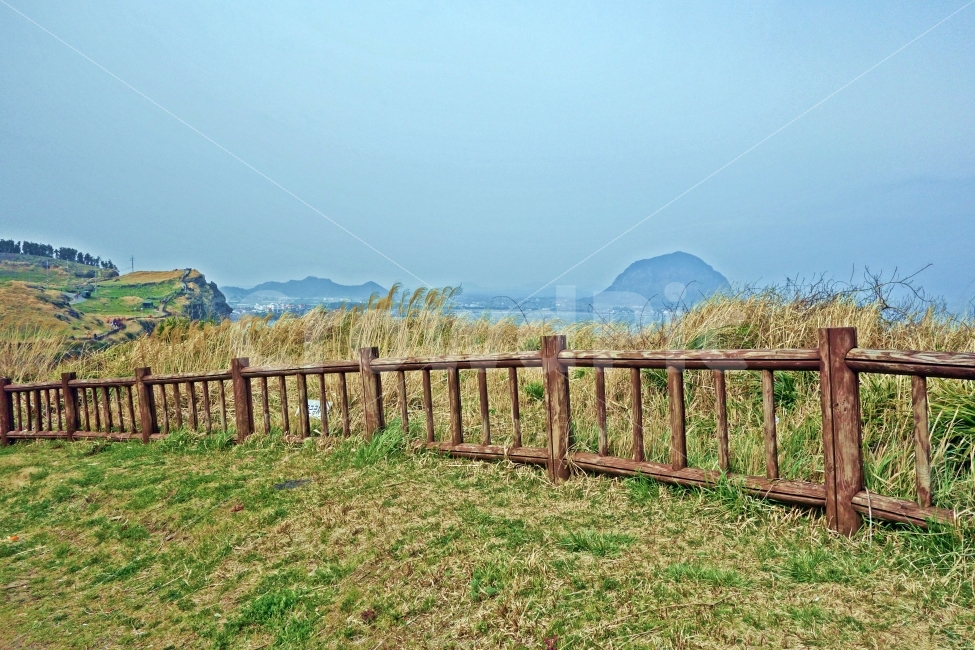 재주도,송악산,둘레길,산방산,산책로,산책,풀,바다,자연,풍경,경치,제주,여행,나무,녹색,바람,자연,풍경,nature,landscape,제주도,jeju,jeju island