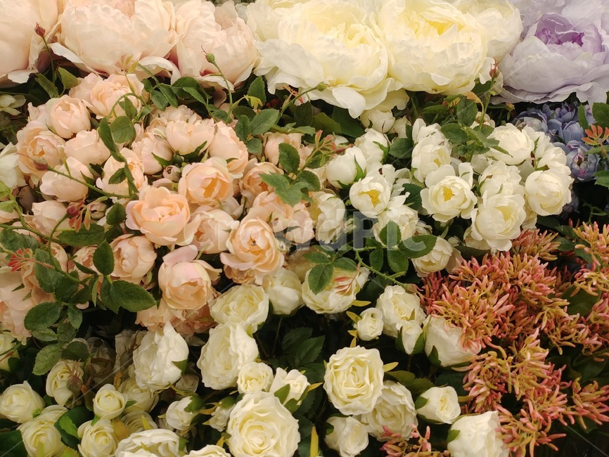 꽃,꽃다발,디스플레이,플라워,백그라운드,장식,데코레이션,꽃잎,flowers,칼라,color,식물,축하,조화,배경화면