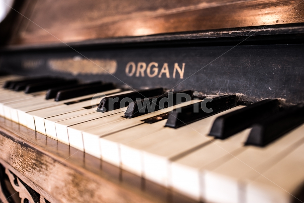 감성,풍경,피아노,햇살,따듯함,piano,organ,오르간,악기,음향기기,musicalinstrument,musicalequipment,감성,sensible,feeling,악기,음향기기,musical instrument,musical equipment