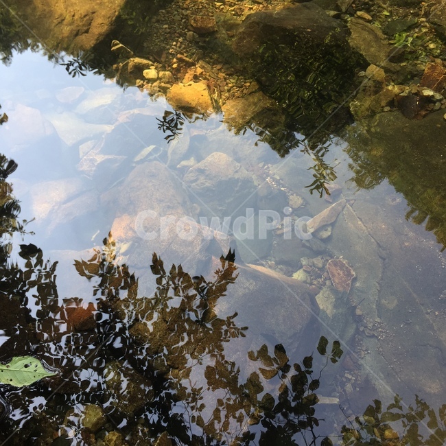 냇물,계곡,물,흐르는물,개울,자연,풍경,nature,landscape,water,land,땅,outdoors,옥외,art,미술,painting,그림