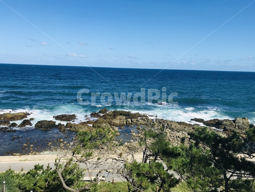 바다,ocean,자연,포항,나무,자연,풍경,nature,landscape