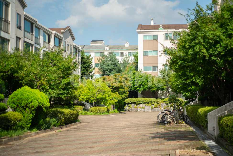 outdoors,옥외,bicycle,자전거,vehicle,bike,풍경,landscape,여름,summer