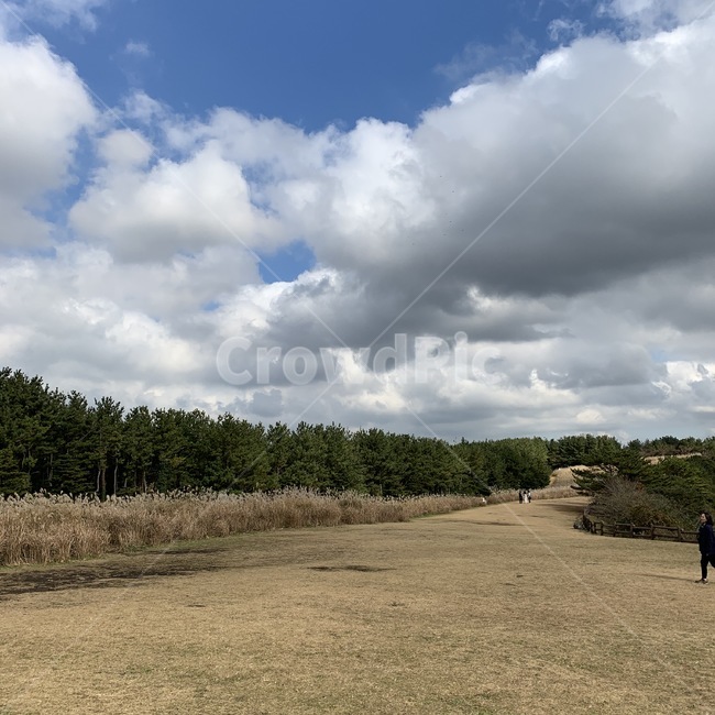 산굼부리,하늘,자연,구름,억새,산,자연,풍경,nature,landscape