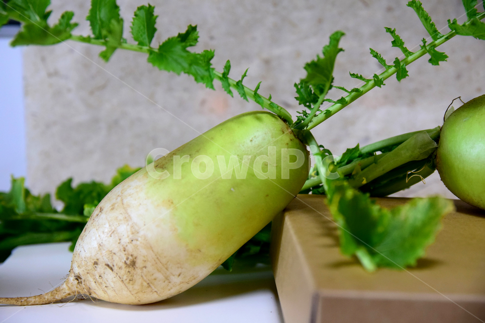 무,순무,무우,뿌리채소,채소,무잎,잎사귀,뿌리,radish,plant,turnip,음식,식재료,요리,food,cook,meal,dishes,food reserves,채소,야채,vegetables