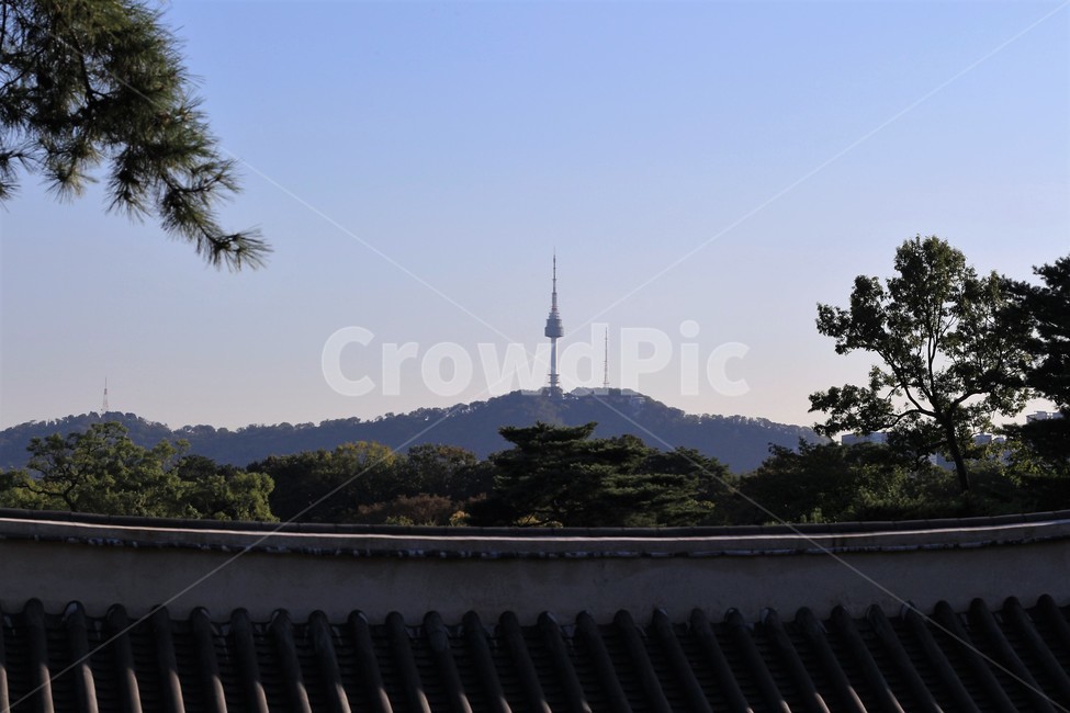 남산타워,tower,서울,seoul,궁궐,기와,풍경,나무,하늘,namsan