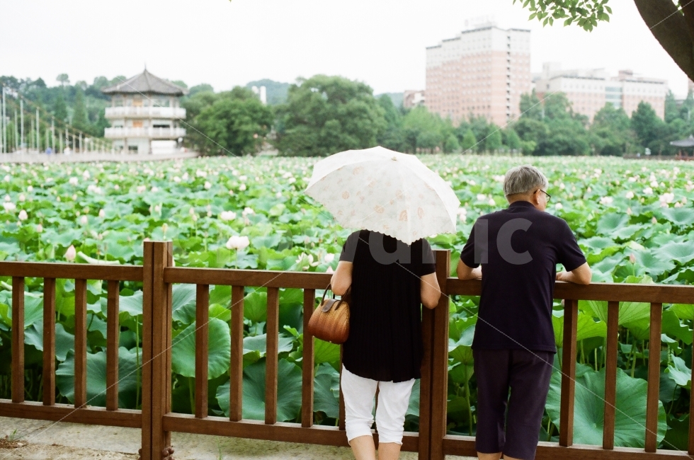 덕진공원,부부,전주,필름사진,필름카메라,사람,인물,인간,human,person,연인,커플,사랑,lover,couple