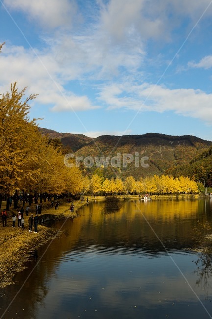 water,물,nature,자연,호수,자연,풍경,nature,landscape