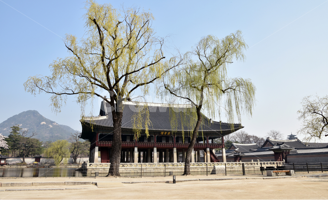 경복궁,경회루,버드나무,고궁,봄,gyeonghoiroo