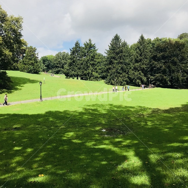 뉴욕,센트럴파크,공원,구름,하늘,잔디,나무,newyork,centralpark,park,cloud,sky,grass,tree
