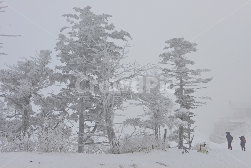 human,인간,person,사람,전북,무주,설천봉,상고대,상제루,mountainrange,산맥,winter,겨울,blizzard,눈보라,storm,폭풍,nature,자연,outdoors,옥외,ice,빙,snow,눈,mountain,산,겨울,계절,winter,season,자연,풍경,nature,landscape