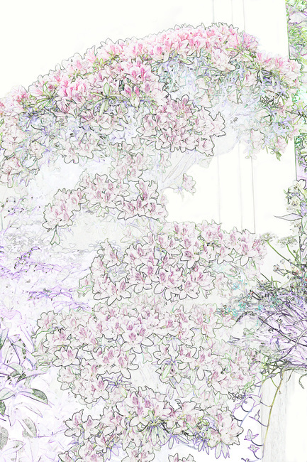 철쭉,철쭉꽃,꽃,그림,스케치,색칠,색칠하기,도안,식물,꽃,flower