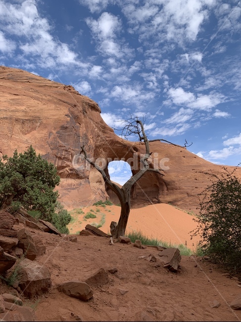 monumentvally,desert,대자연,모뉴먼트밸리,사막