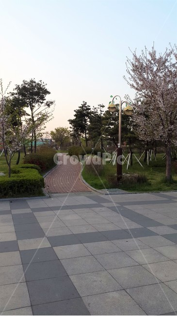공원,입구,길,산책로,산책,풀,나무,풍경,식물,자연,plants,nature,꽃,flower,자연,풍경,nature,landscape,flagstone,판석