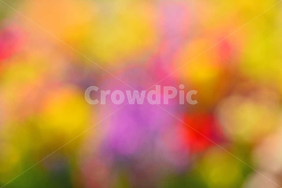 봄,색감,감성,분위기,느낌,벡그라운드,emotion,feeling,sensible,칼라풀,색상,화려한,colorful,season,시즌,계절,보케,빛망울,몽환적,그라데이션,gradation,art,번짐,혼색,다양한,노랑,빨강,핑크,분홍,그린,녹색,봄배경,background,바탕,배경