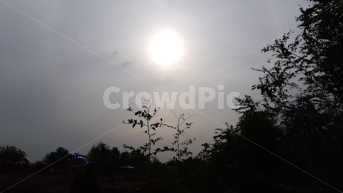 light,빛,flare,플레어,nature,자연,하늘,태양,햇빛,역광,풍경,어두운,어두움