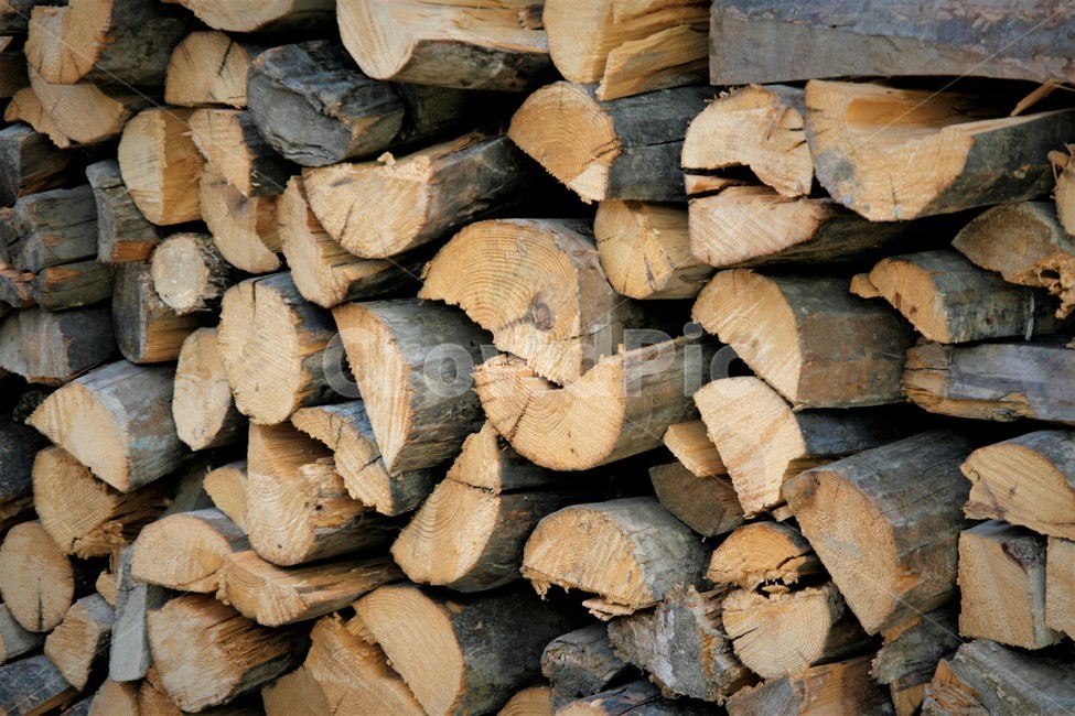 장작,나무,땔감,장작더미,나무토막,나무,trees,wood