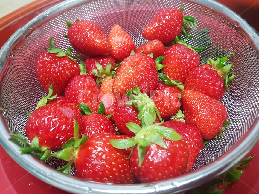딸기,과일,fruit,strawberry,건강,음식,식재료,요리,food,cook,meal,dishes,food reserves,과일,열매,fruit