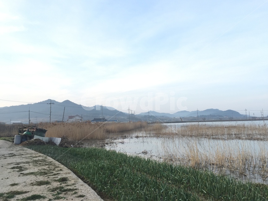 저수지,하늘,텃밭,갈대,자연,자연,풍경,nature,landscape,land,땅,outdoors,옥외,water,물