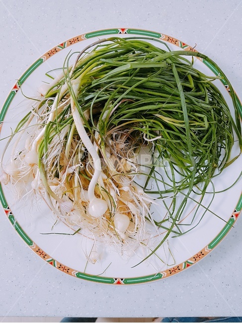 plant,식물,봄나물,달래,food