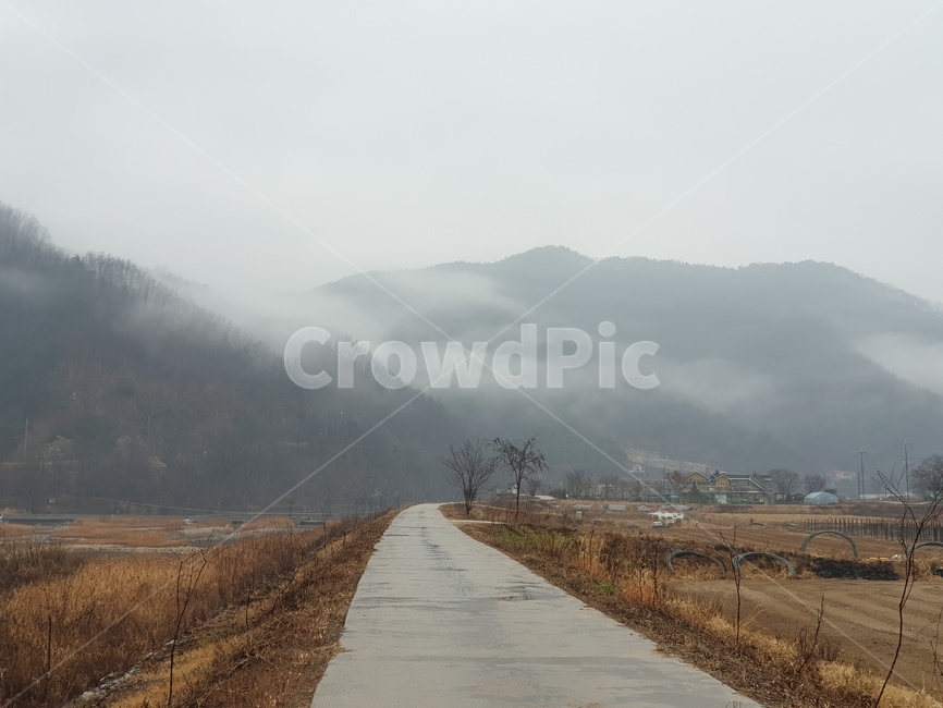 안개,비,강가,시골,조용한