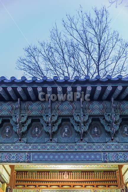 단청,사찰,기와,지붕,문양,전통가옥,한국의미,한국전통,한국문화,korean traditional,korean culture,건축물,건물외관,exterior,building,structure,architecture,construction