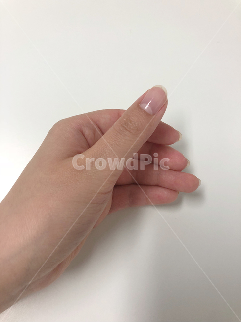 손,hand,손가락,손동작,엄지손가락,손모양,동작,사람,인물,인간,human,person,신체일부,몸,body,손,제스처,표시,손짓,표현,gesture,hand,sign,expression