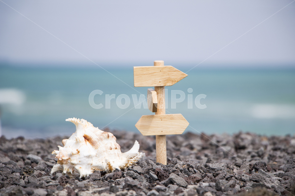 소라,이정표,해변,여름,백사장,파도,배경,백그라운드,바닷가,하늘,해변,바다,beach,sea,사물,물건,오브젝트,thing,object,matter,연출,컨셉,콘셉,direction,concept