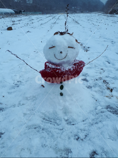 눈,계절,추억,축복,즐거움,겨울,계절,winter,season