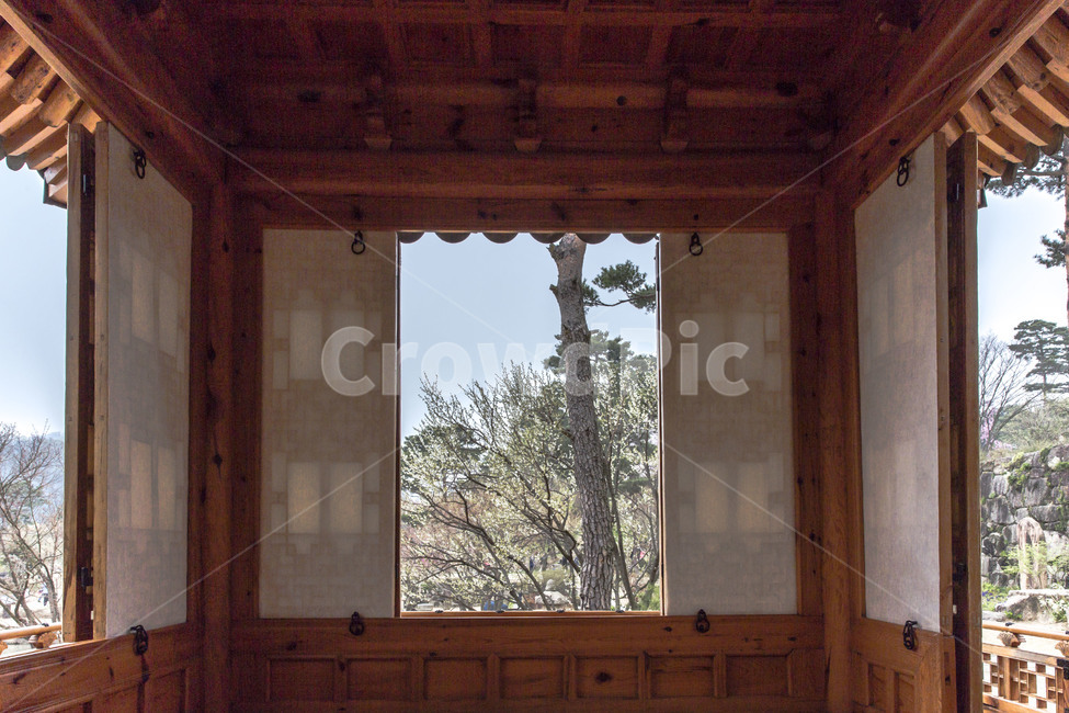 용인호암미술관,정자,관음정,정원,후원,풍경,봄,소나무,창호,관광지,한국전통,한국문화,korean traditional,korean culture