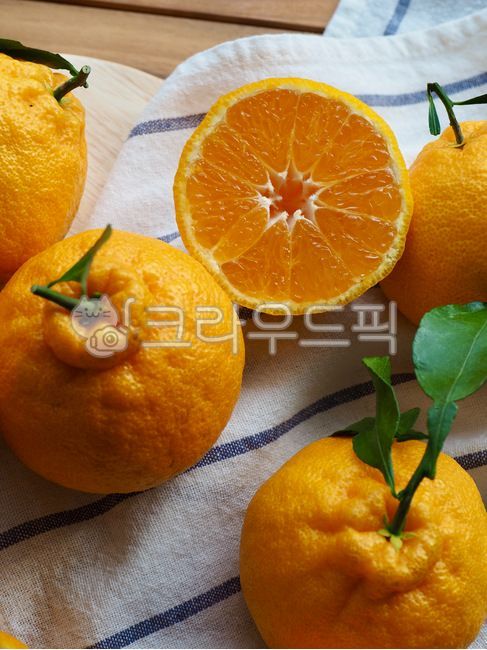 제주한라봉,한라봉,제주도특산품,감귤류,과일,제주도,한국,노랑,음식,배경,웰빙,웰빙음식,다이어트식품,간식,후식,감귤류과일,jejuhallabong,hallabong,jejuislandspecialties,citrusfruit,fruit,jejuisland,korea,yellow,food,background,wellbeing,wellbeingfood,dietfood,snack,dessert,주황색,식물,orange,plant,과일,열매,fruit