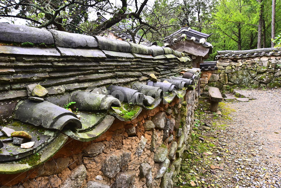 한국전통,빈티지,이끼,석재,세월,풀,녹색,배경,쌓다,축조,전통양식,한국적,동양적,코리안,korean,koreantraditional,바탕,백그라운드,그린,흔적,green,moss,빈티지풍경,빈티지배경,background,stonewall,old,오래된,vintage,기와지붕,돌담,마모,균열,식물,plant,기와집,선암사,울타리,wood,나무,wall,벽