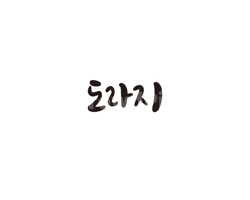 캘리,야채,채소,도라지,캘리그라피,손글씨,그래픽,일러스트레이션,graphic,illustration,캘리그라피,손글씨,calligraphy
